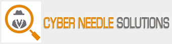 Cyber Needle Solution in Pune
